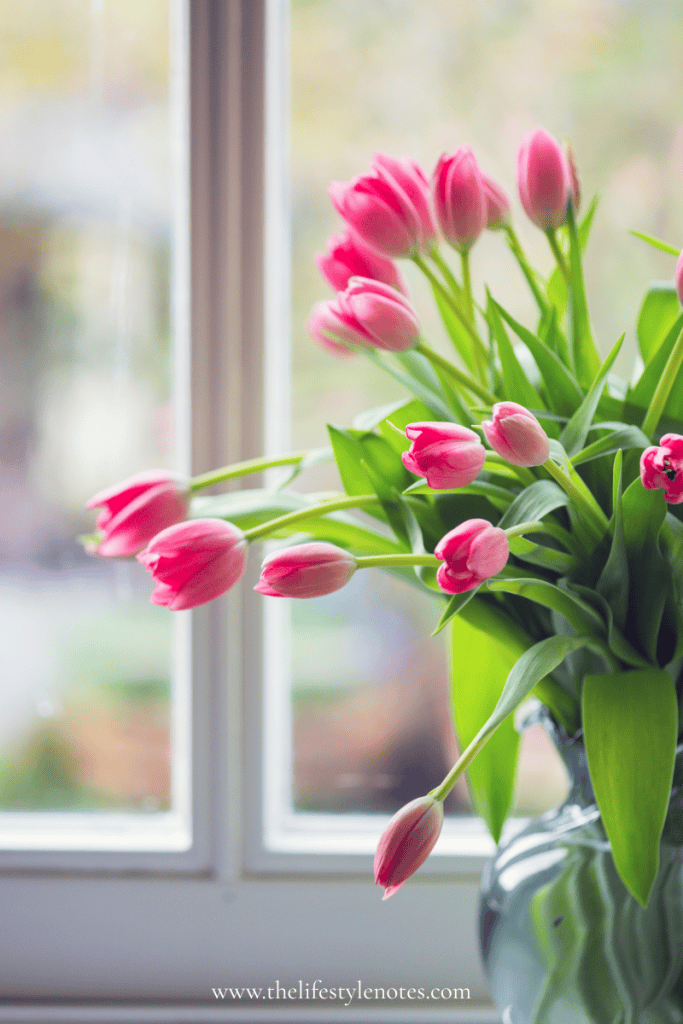 Mother's Day Gifts 2025. Vase of pink tulips on counter near window.