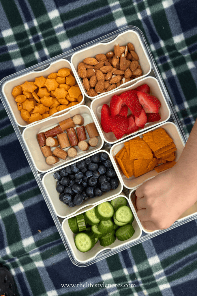 Snackle box on a picnic blanket with crackers, almonds, beef sticks, strawberries, blueberries, apples and cucumbers.